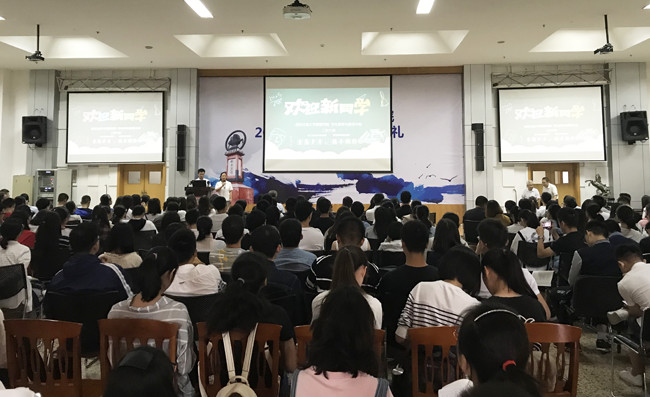 1546311379.jpg 4.jpg