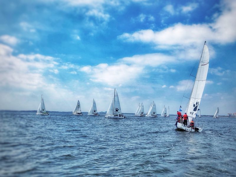 1546228672.jpg 6.jpg