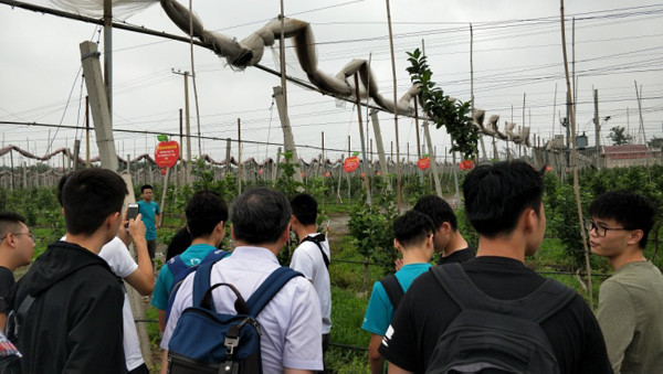 1546314354.jpg 3.jpg