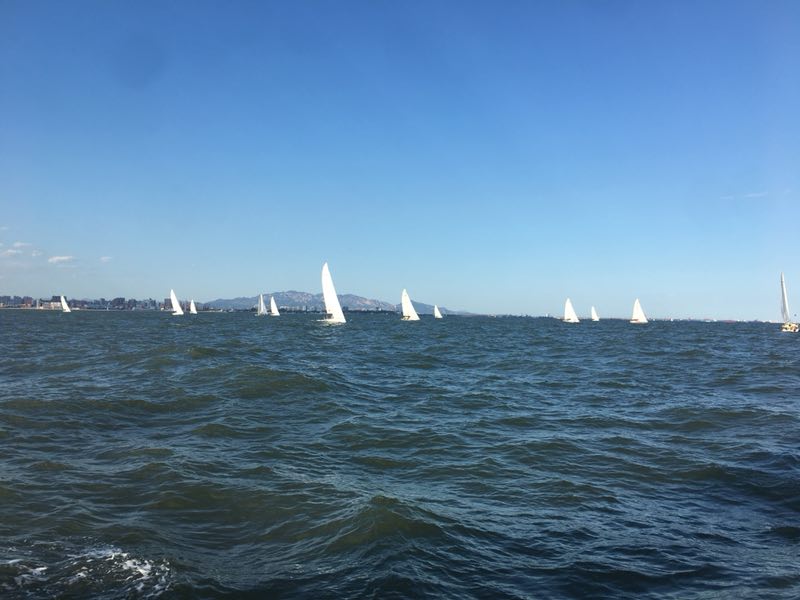 1546228684.jpg 8.jpg