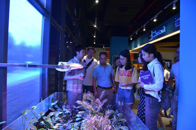 1546313608.jpg 3.jpg